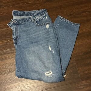 Lane Bryant jeans